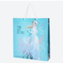 Disney Frozen Geschenktas