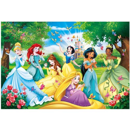 Disney Princess Disney Princess Puzzel - 60 Maxi stukjes - Clementoni