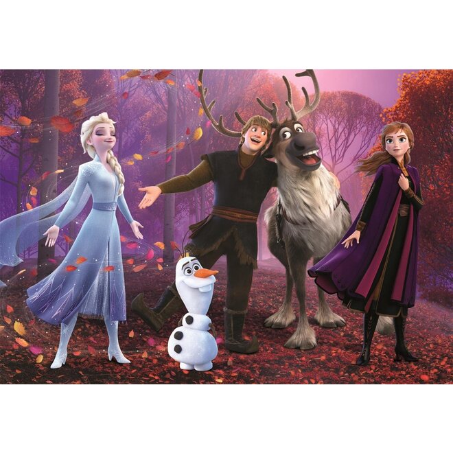 Disney Frozen Puzzel - 104 stukjes - Clementoni