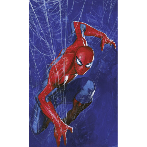 Spiderman Spiderman Vlies Behang Web - 150x250 cm