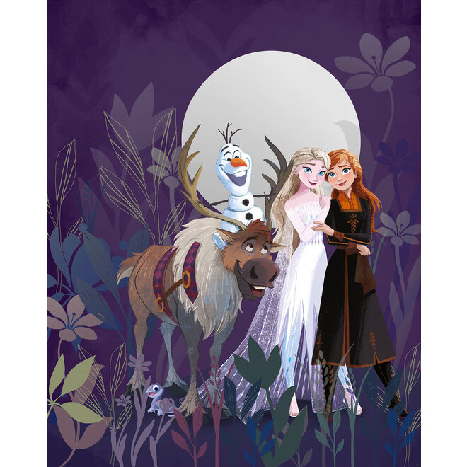 Disney Frozen Vlies Behang - 200x250 cm - Full Moon