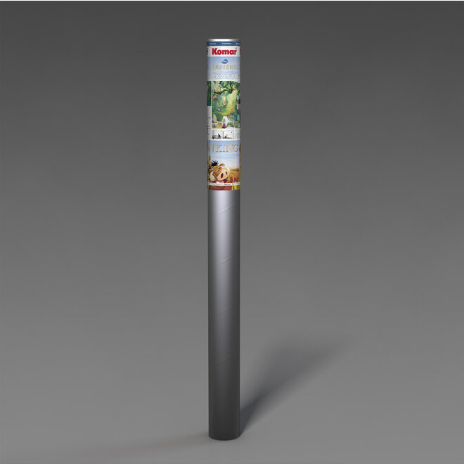 Lion King Disney Behang - 368x254 cm - Jungle