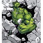 The Avengers Vlies Behang Hulk - 250x280 cm - Marvel