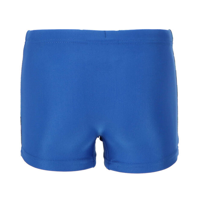 Dinosaurus Zwembroek / Zwemboxer - Gigantosaurus