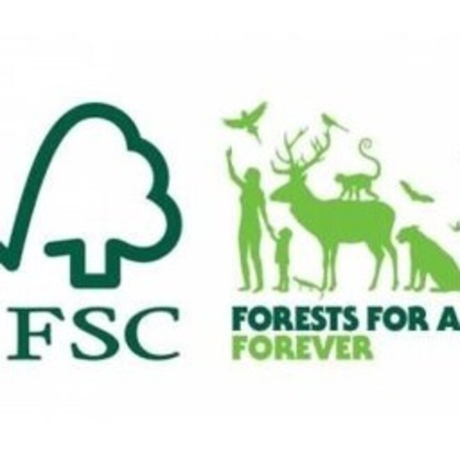 6 Gabby's Poppenhuis Feesthoedjes - FSC