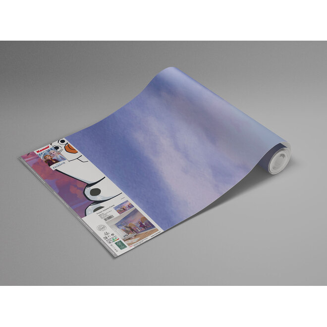 Disney Frozen Vlies Behang - 400x280 cm