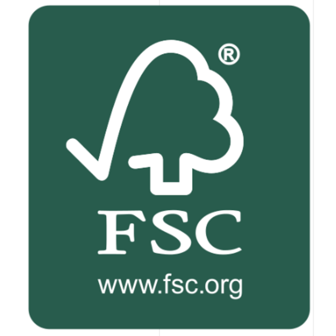 Disney Frozen Vlies Behang - 200x250 cm - IJspaleis