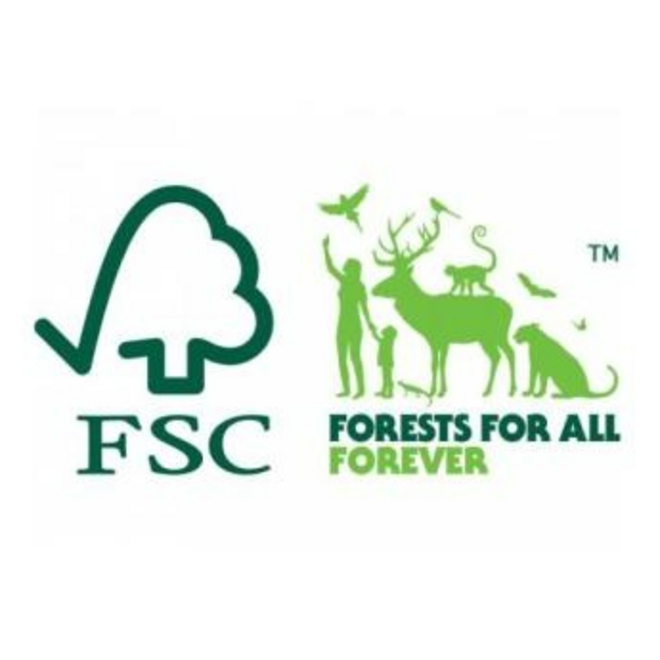 6 Vaiana Feesthoedjes FSC - Disney