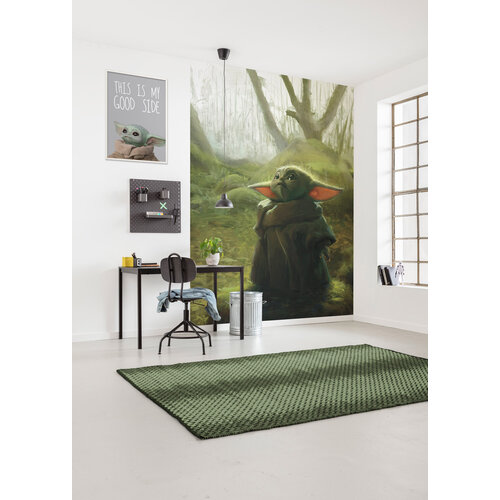 Star Wars Star Wars Vlies Behang - 200x280 cm - Mandalorian Grogu