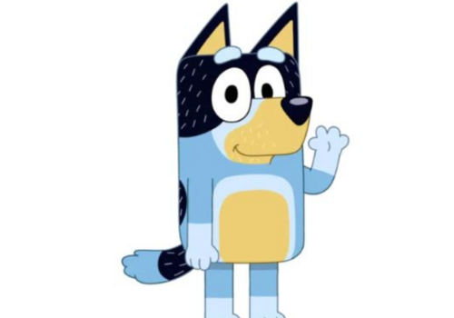 Bluey Feestartikelen