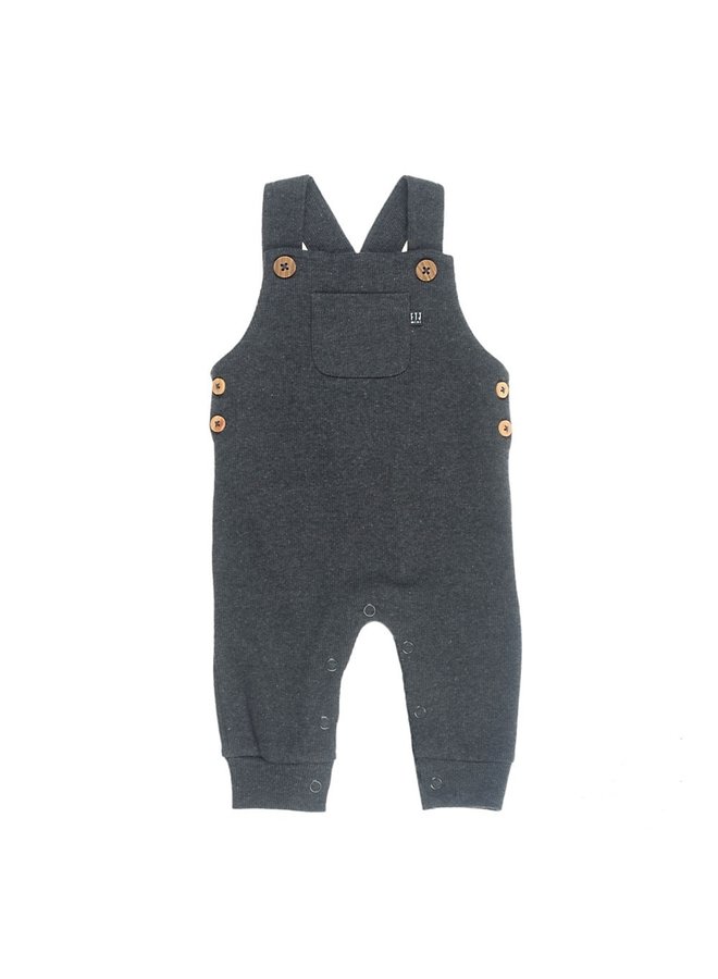 Noppies Dungarees Moyock - India Ink