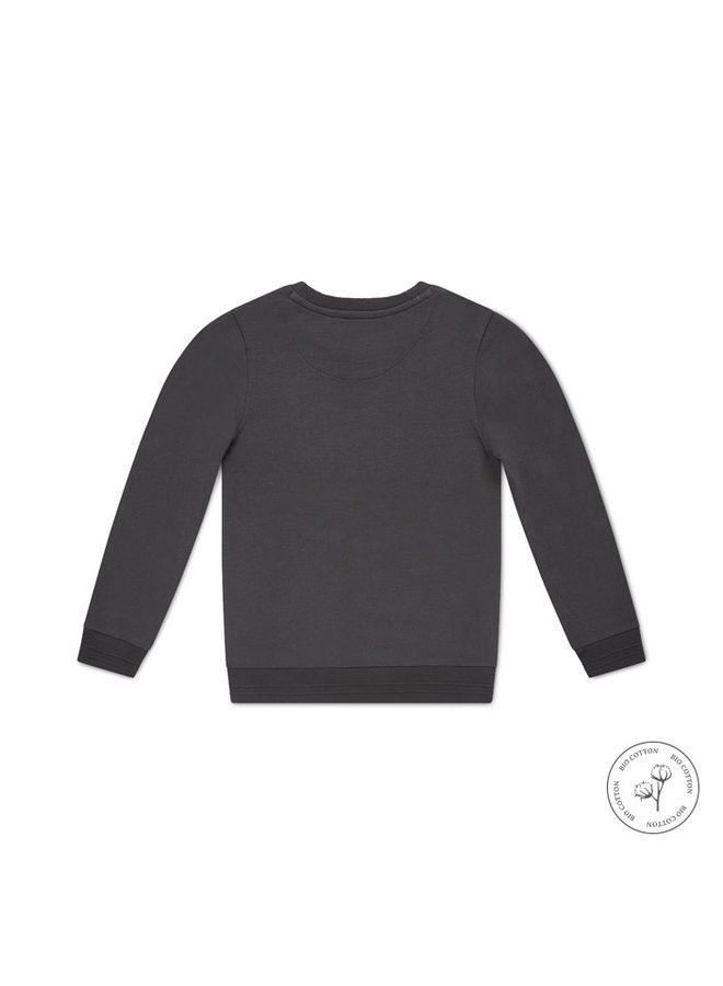 Neill Sweater Bio Cotton Grey