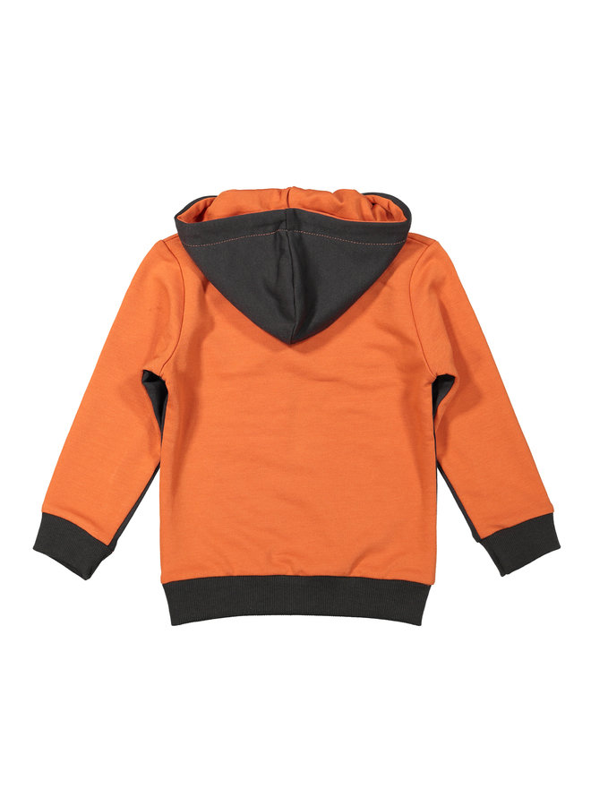 Sweater Hoody Dark Grey/Faded Orange