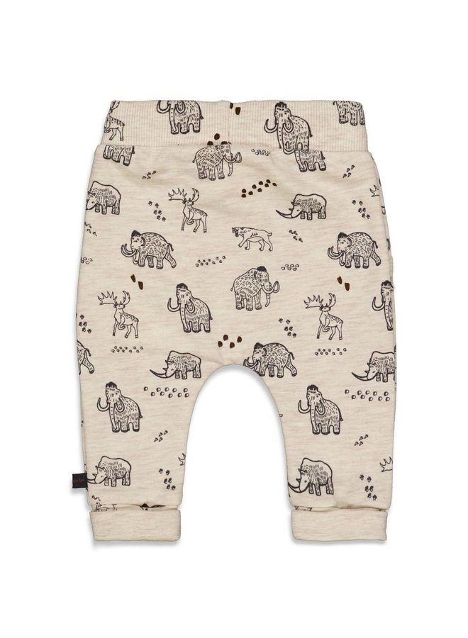 Cool Adventure Broek Printje Offwhite Melee