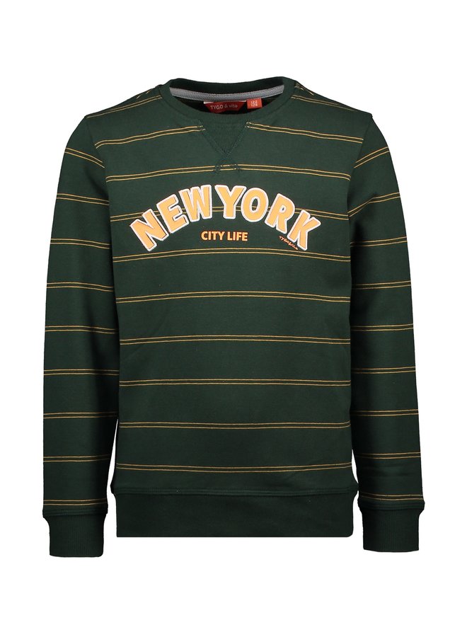 Sweater New York Streep Groen