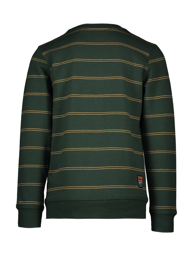 Sweater New York Streep Groen