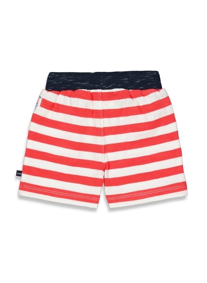 Blub Club Shortje streep Rood