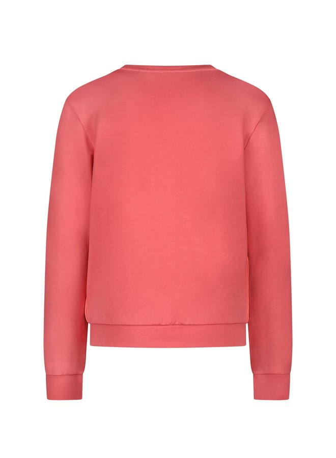 Sweater Print Dance Catchy Coral