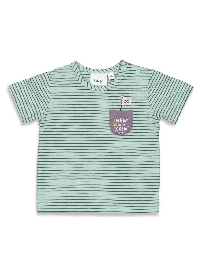 Tiny Pirate T-shirt streep Mint/grijs