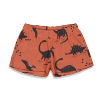 Pyjama / Shortama Dino Dale Feetje Pyjama / Shortama Dino Dale