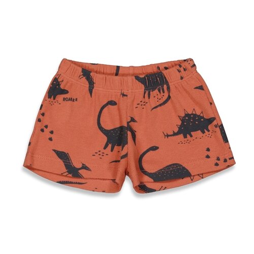 Pyjama / Shortama Dino Dale Feetje Pyjama / Shortama Dino Dale