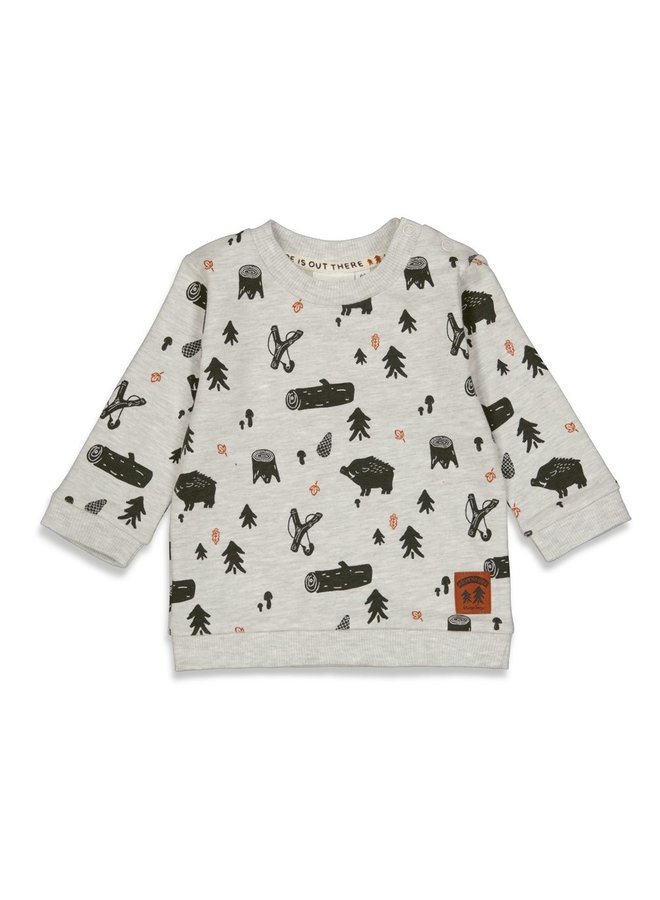 Adventure Sweater met printje Grijs Melange