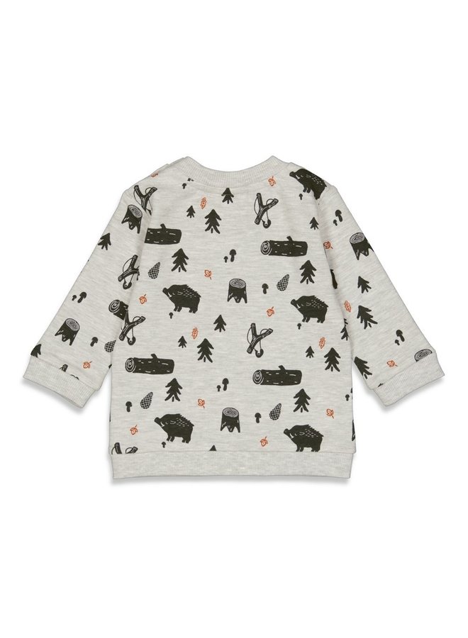 Adventure Sweater met printje Grijs Melange