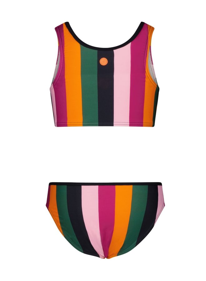 Bikini Rainbow Stripe