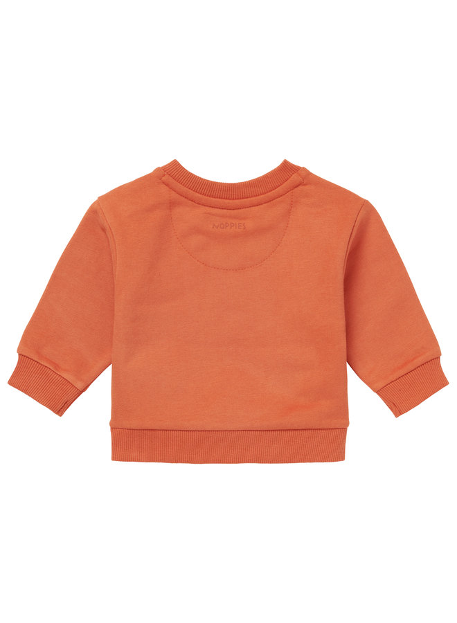 Sweater Jalna Bombay Brown