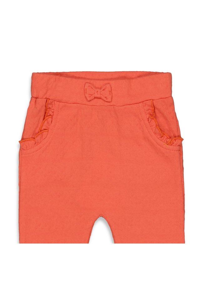 Sunkissed Broek Brique