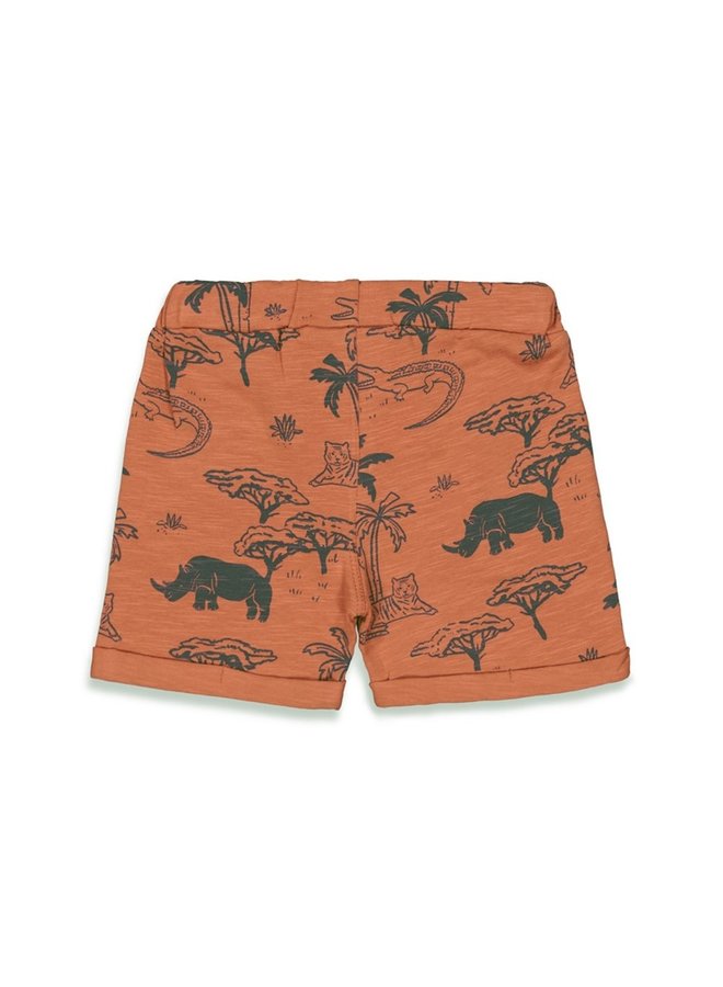 Wild One Short met printje Brique