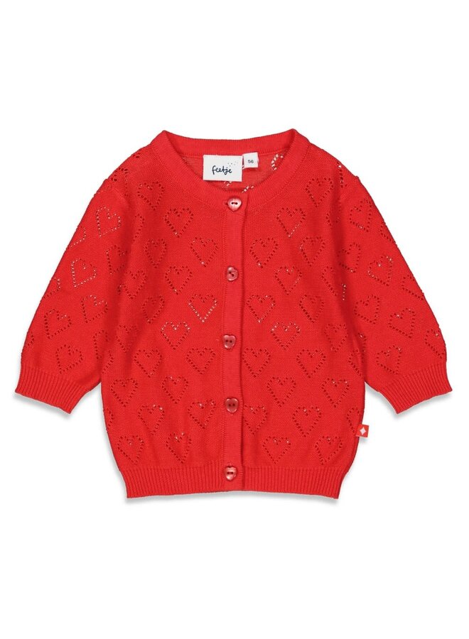 Sooo Cute Vestje gebreid Rood