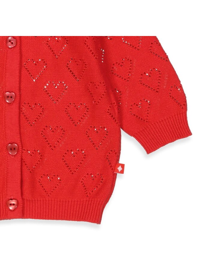 Sooo Cute Vestje gebreid Rood