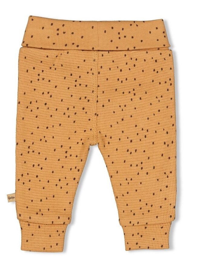 Tiny Roar Broek met printje