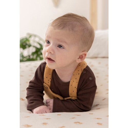 Feetje Tiny Roar Set Tuinbroek Camel en Shirt Bruin