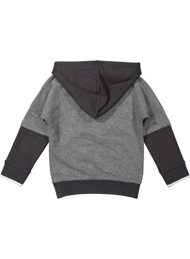 Swaeter Hoody Grey Melee