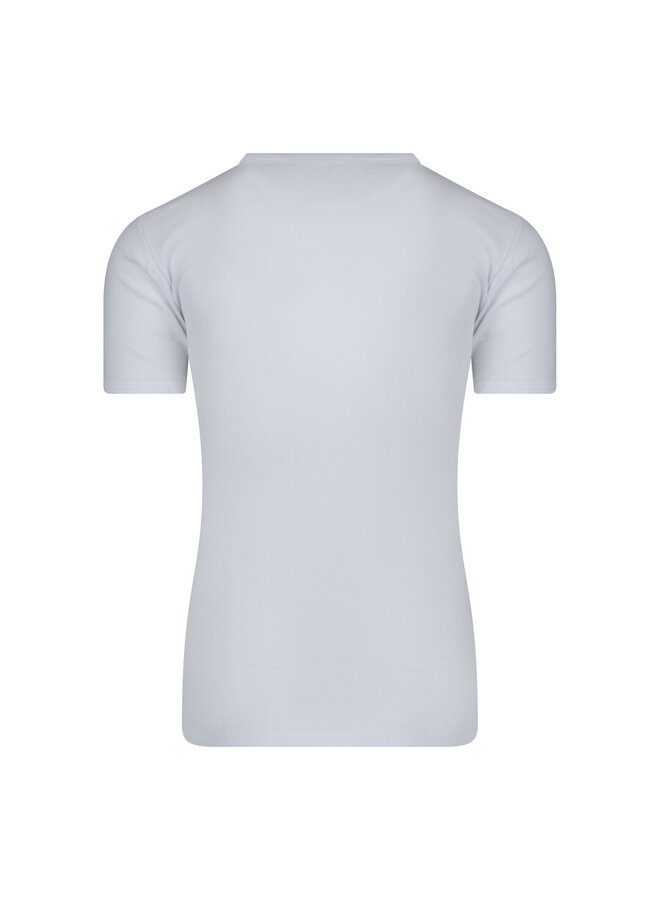 M3000 Heren T-Shirt V-Hals Wit