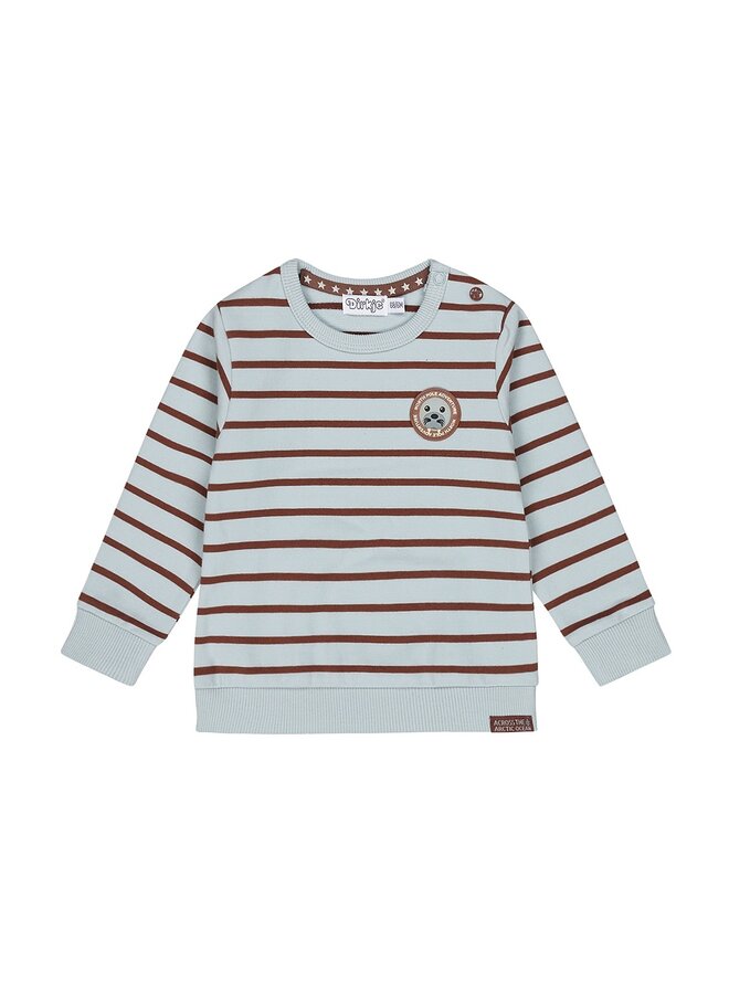 Boys Artic Sweater Streep Light Blue/ Brown