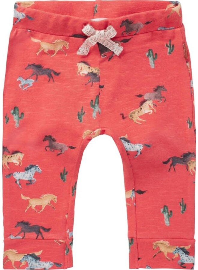 Broek Slim Fit  Moos Cayenne