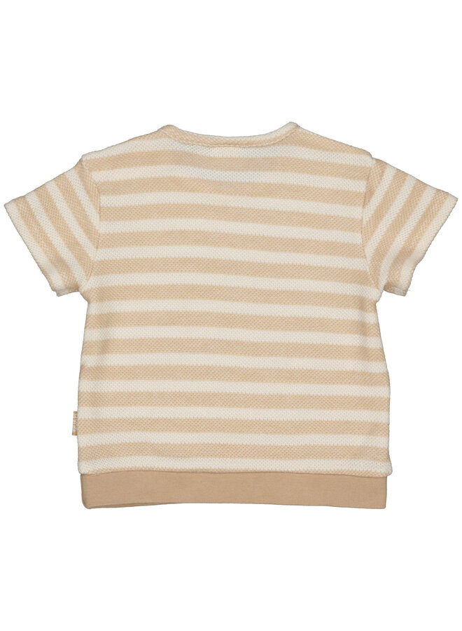 Shirt  Gavin en Short Glen Sand Stripe