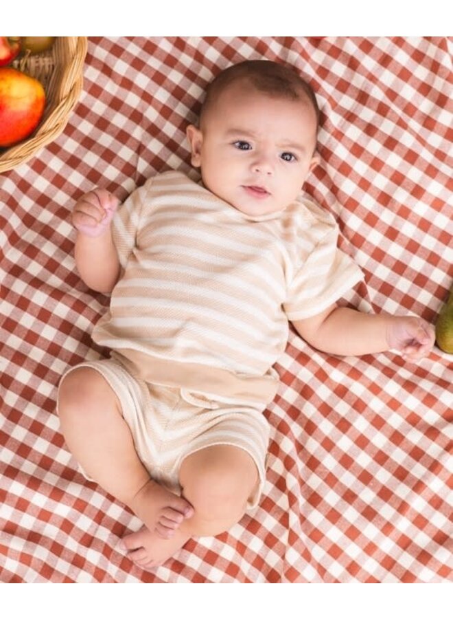 Shirt  Gavin en Short Glen Sand Stripe