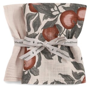 Muslin Blanket 2 pcs Pomme 60 x 60