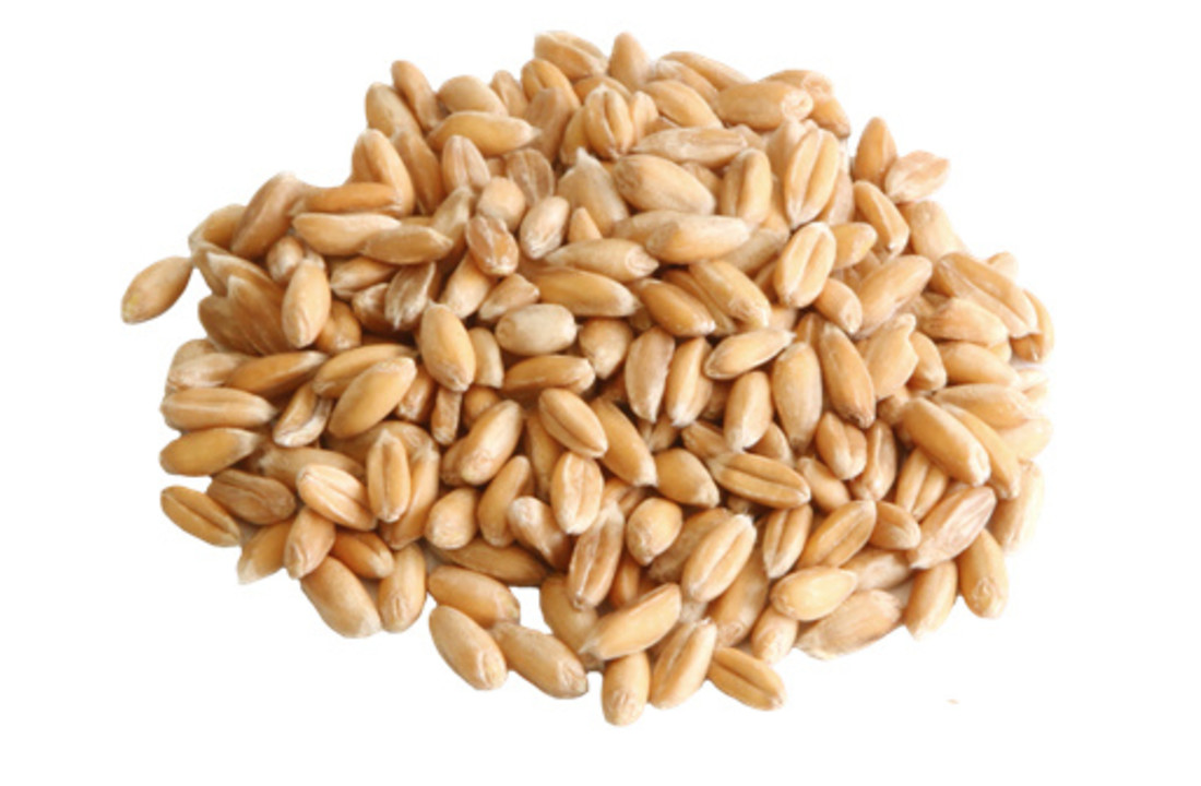 Spelt 5 kg