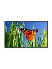 Plura Plura LCM-147-3G 47" Preview 3G Broadcast Monitor Narrow Bezel