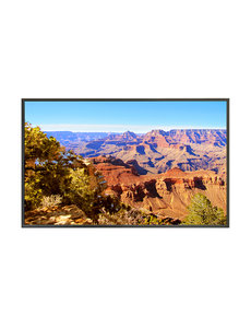 Plura Plura PBM-247-4K-H 47'' Broadcast Monitor, 12G/3G, HDR Capability, Ember+