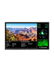 Plura Plura PBM-346-3G 46" Narrow Bezel, Class A-3Gb/s, Ember+ Optional