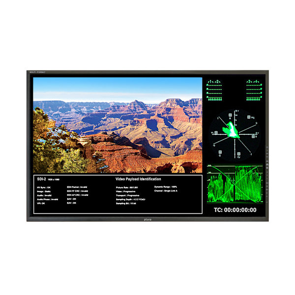 Plura Plura 46" – Narrow Bezel, Class A-3Gb/s, Ember+ Optional