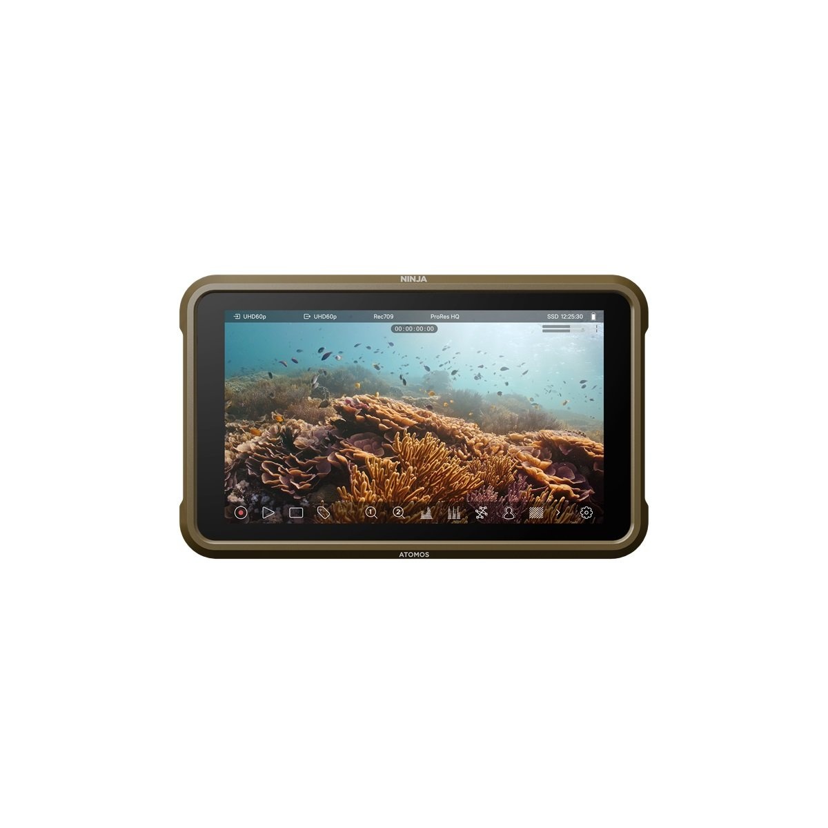 Atomos Ninja 5 Lightweight Monitor Recorder Crosspoint