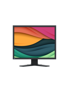 EIZO EIZO S2134 FlexScan LCD 21 inch (4:3) 1600x1200