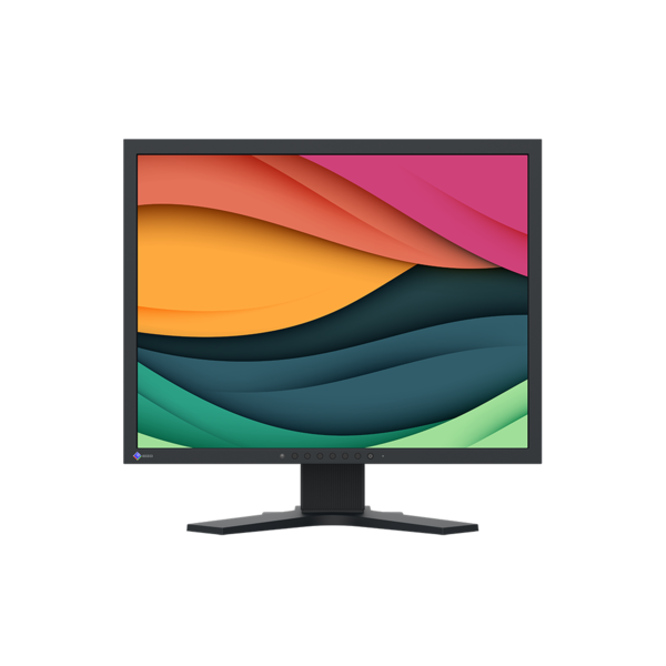 EIZO EIZO S2134 FlexScan LCD 21 inch (4:3) 1600x1200